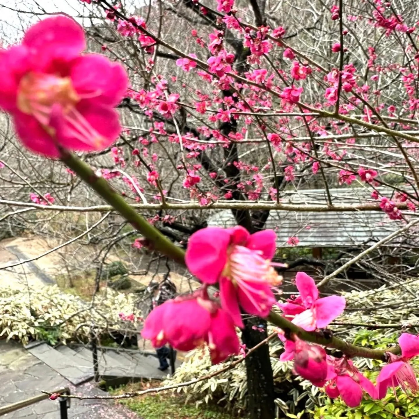 皆様お体は大丈夫ですか3月は、寒暖差や気圧の変化が大きく起こ...